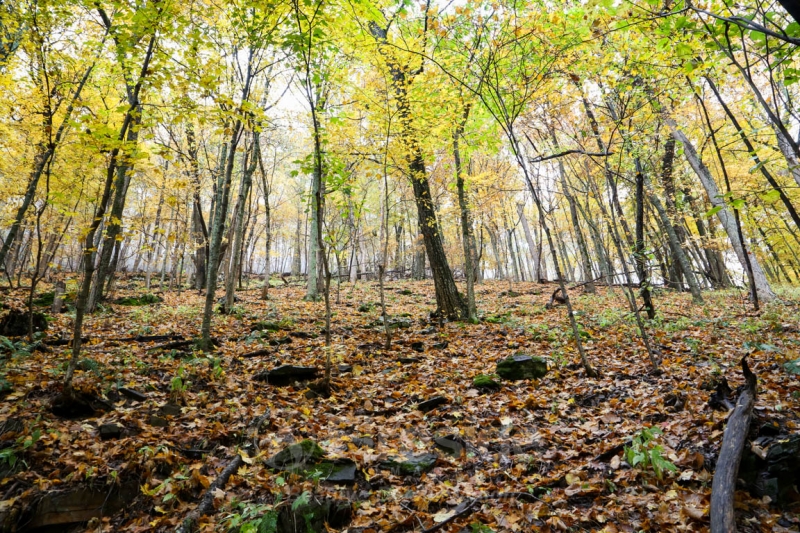 Autumn Ridgeline